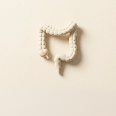 Gastroenterología